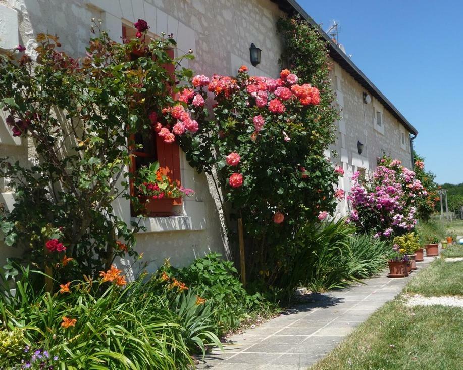 La Maison Des Fleurs 호텔 Saint-Senoch 외부 사진